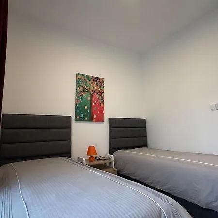 Terra Okaliptues